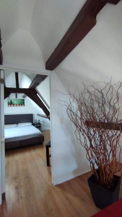 The 16Th Century Duplex In The City Center Apartment แอนต์เวิร์ป ภายนอก รูปภาพ