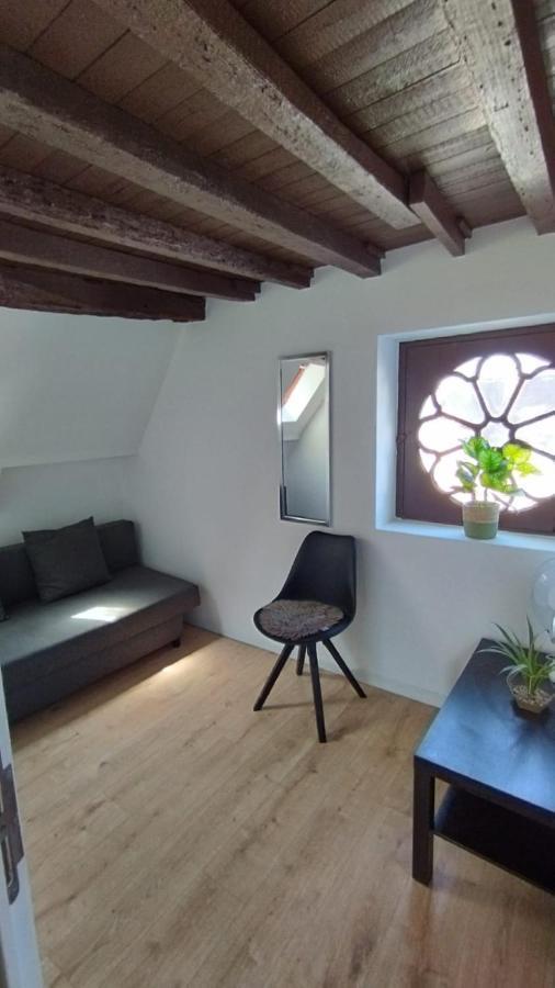 The 16Th Century Duplex In The City Center Apartment แอนต์เวิร์ป ภายนอก รูปภาพ