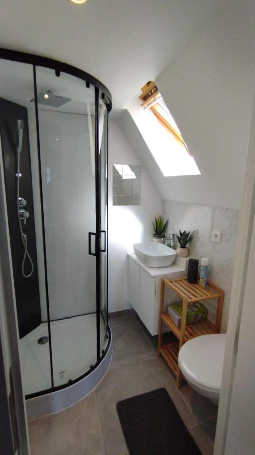 The 16Th Century Duplex In The City Center Apartment แอนต์เวิร์ป ภายนอก รูปภาพ