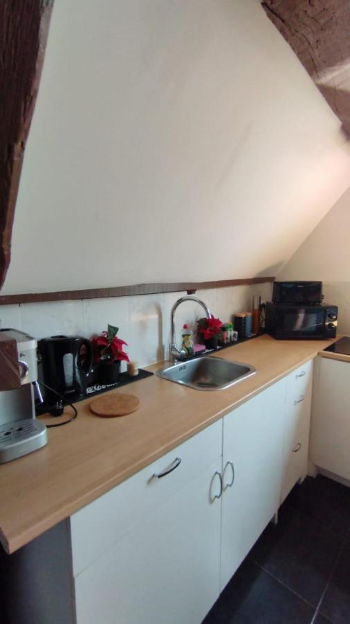 The 16Th Century Duplex In The City Center Apartment แอนต์เวิร์ป ภายนอก รูปภาพ