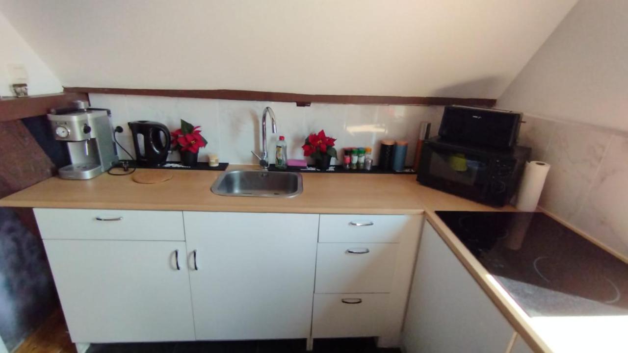 The 16Th Century Duplex In The City Center Apartment แอนต์เวิร์ป ภายนอก รูปภาพ
